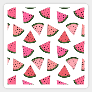 Colorful watermelon hand drawn pattern Sticker